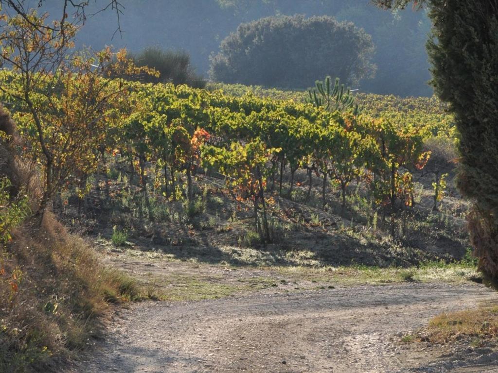 Domaine Saint Victor Hotel La Tour-dʼAigues Екстериор снимка